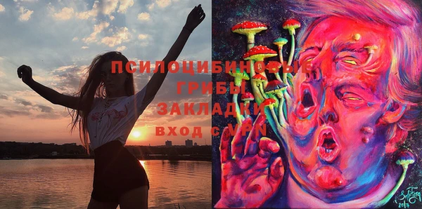 твердый Верхний Тагил