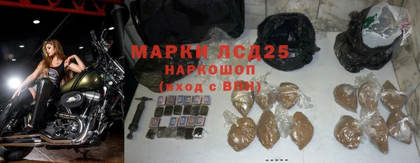 прущие грибы Каменск-Шахтинский