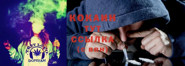 mix Пересвет